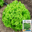 Xishuai Lollo Bionda Lettuce Seeds, 2g