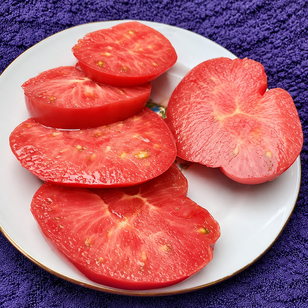 93 Granny Harriet's Heirloom Tomato, 5 Seeds