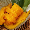 Fushun Ribbed Ugly Pumpkin, 10 Seeds