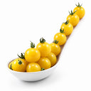 966 Coyote Tomato, 5 Seeds