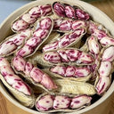 Rainbow Peanut, 20 Seeds