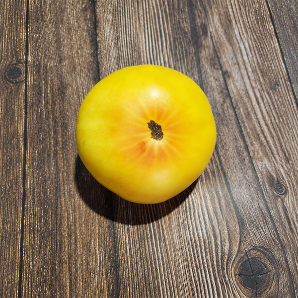 282 Weary Sun Tomato, 5 Seeds