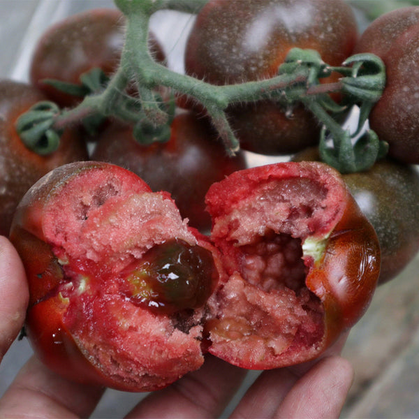Purple Peach Tomato, 5 Seeds