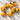 304 Strawberry Sergeant Orange F5 Tomato, 5 Seeds