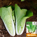 All-season Fast-growing Bok Choy