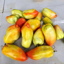 762 Chipmunk F5 Tomato, 5 Seeds