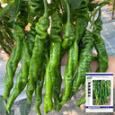 'Meinaxiang' Spiral Pepper, 30 Seeds