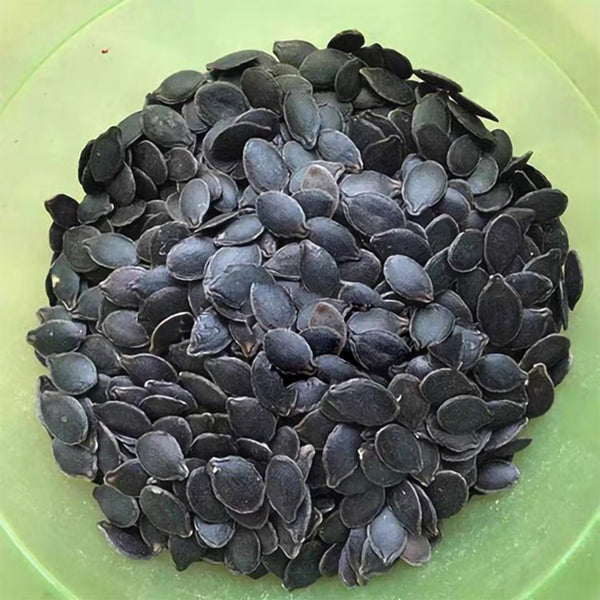 Figleaf Gourd, 50 Seeds