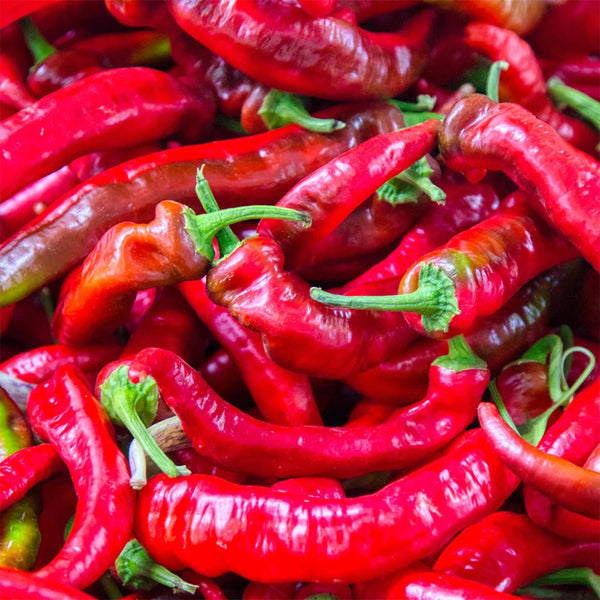 Jimmy Nardello Pepper, 10 Seeds