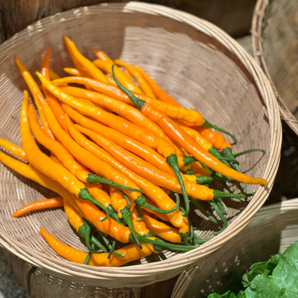 Yellow Spicy Girl Line Pepper Seeds, 2g