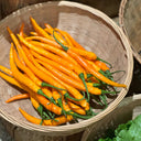 Yellow Spicy Girl Line Pepper Seeds, 2g