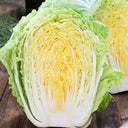 Golden Phoenix Chinese Cabbage Seeds, 5 × 4g Bags