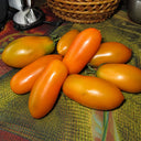 229 Zolotaya Rybka Tomato, 5 Seeds