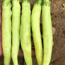 Yellow Beauty Pepper Seeds, 0.3g
