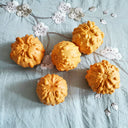Small Bumpy Gourd, 10 Seeds