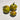 507 Eden No. 8 F4 Tomato, 5 Seeds