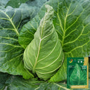Huachun Oxheart Cabbage Seeds, 10g