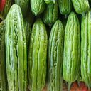 Jiemei 23 Bitter Gourd, 50 Seeds