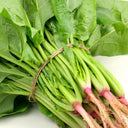Golden Autumn Spinach Seeds, 20g