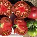 Pink Brandywine Tomato, 10 Seeds
