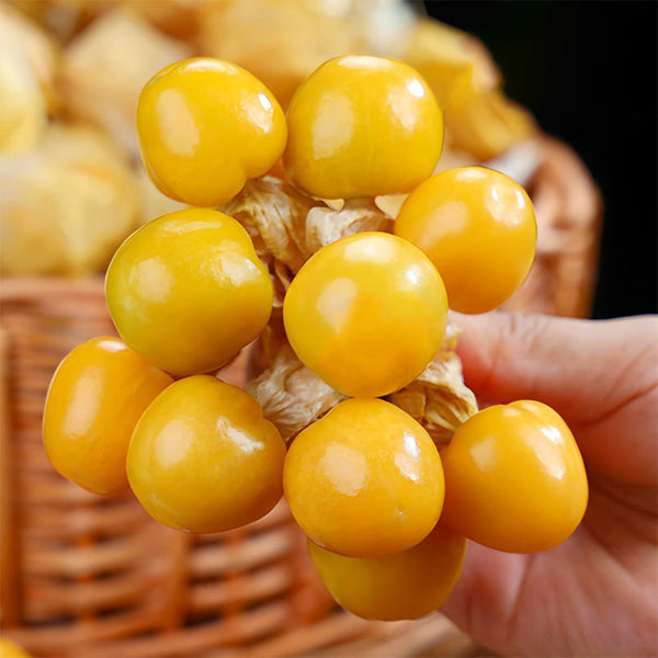 Groundcherry Seeds, 200 Seeds