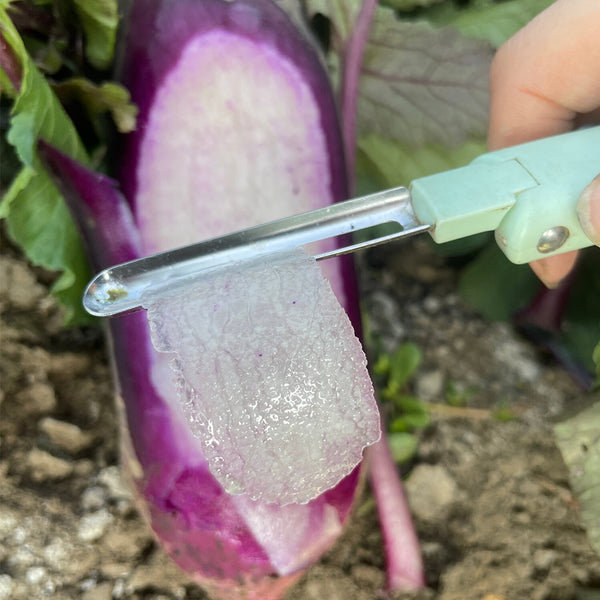 Rock Sugar Heart Purple Skin Fruit Radish, 60 Seeds