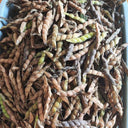 Pigeon Pea Seeds, 50 Seeds