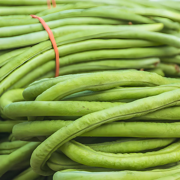 'Jiangshan Xiuli' Cowpea Seeds, 100g