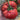 Giant Steak Tomato, 10 Seeds