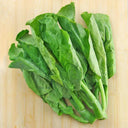 Sweet-Crispy 'Zhouye' Chinese Kale Seeds, 10g