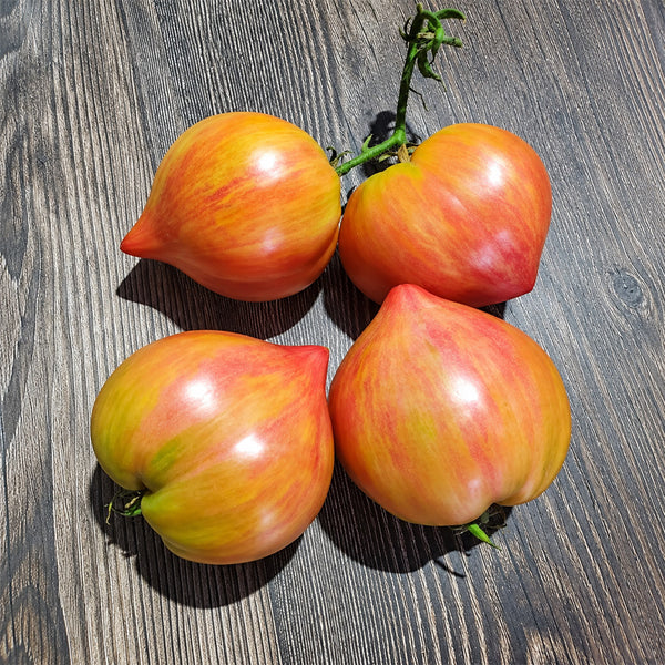 278 Red Dragon Heart Tomato, 5 Seeds