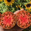 1014 Brian's Moonlight Tomato, 5 Seeds