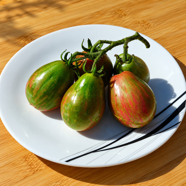 363 Dwarf Maritime Bells Tomato, 5 Seeds