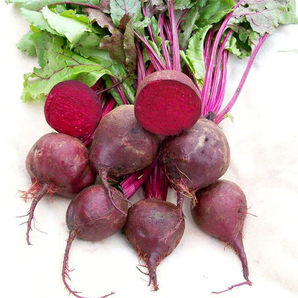 Globular Beetroot Seeds, 10g