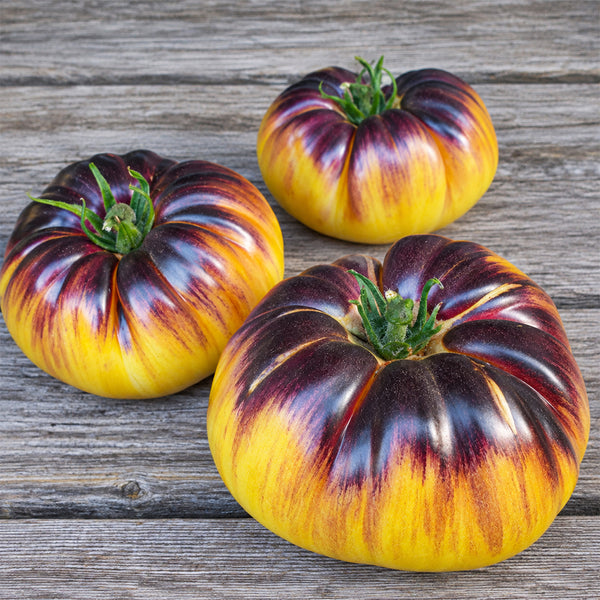 87 Sart Roloise Tomato, 5 Seeds