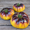 87 Sart Roloise Tomato, 5 Seeds