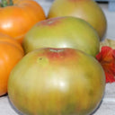 915 Moldovan Fairy Tale Tomato, 5 Seeds
