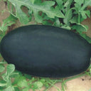 'Black Tyrant' Super-sweet Watermelon Seeds