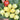 Seven-Colored Pickling Pepper, 100 Seeds