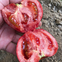 Super Sweet Pink Beauty Tomato, 20 Seeds