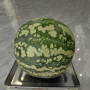 Ya Zong Winter Melon, 5 Seeds