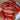 664 Tegucigalpa Tomato, 5 Seeds