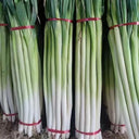 Zhangqiu Green Onion Seeds, 10g