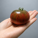 477 Dwarf Crimson Sockeye Tomato, 5 Seeds