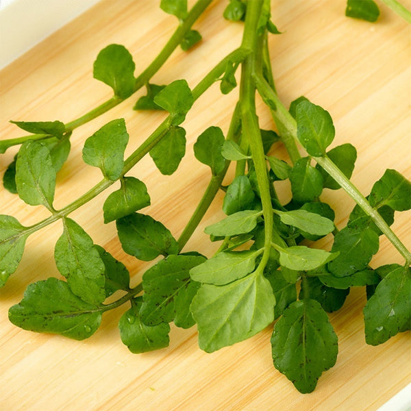 Watercress Seeds, 3g