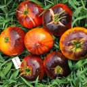 60 Marmande Blue Tomato, 5 Seeds