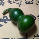 Dark Green Gourd, 5 Seeds