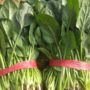 Four Seasons Spinach Seeds, 10g