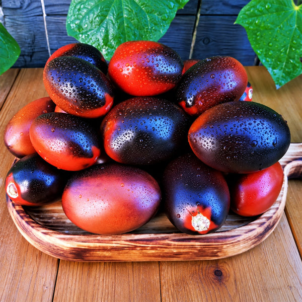 270 Deep Purple F4 Tomato, 5 Seeds