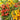 4 Funny Plum Yellow Tomato, 3 Seeds